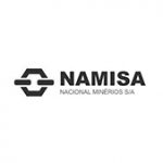 logo-namisa